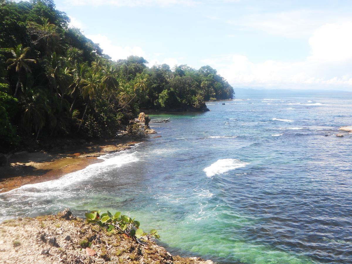 Rosa Lodge Cahuita Εξωτερικό φωτογραφία