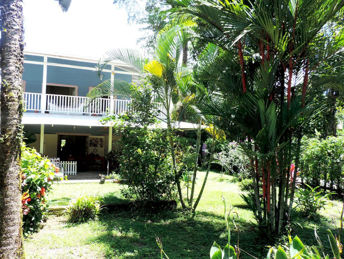 Rosa Lodge Cahuita Εξωτερικό φωτογραφία