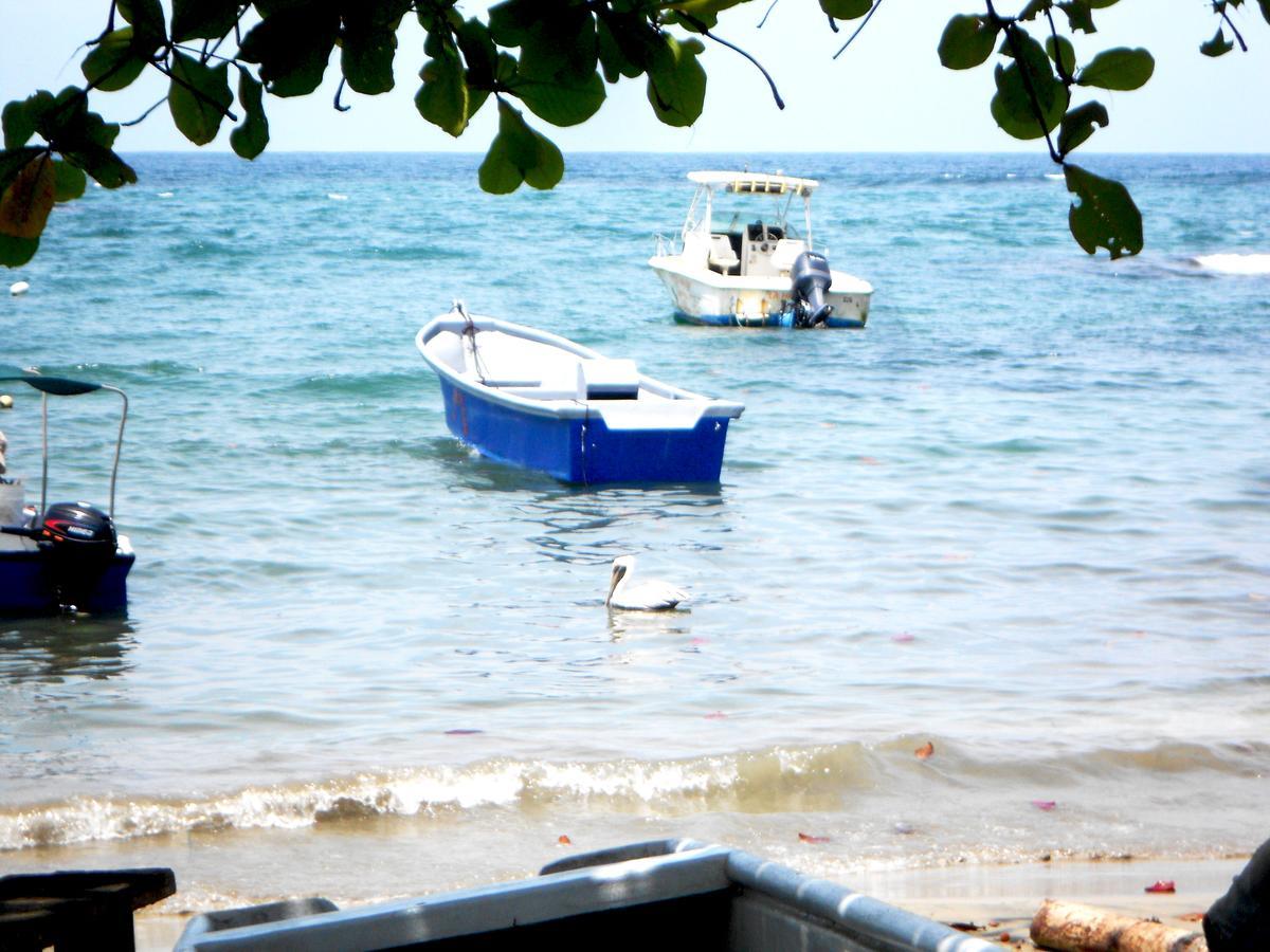 Rosa Lodge Cahuita Εξωτερικό φωτογραφία