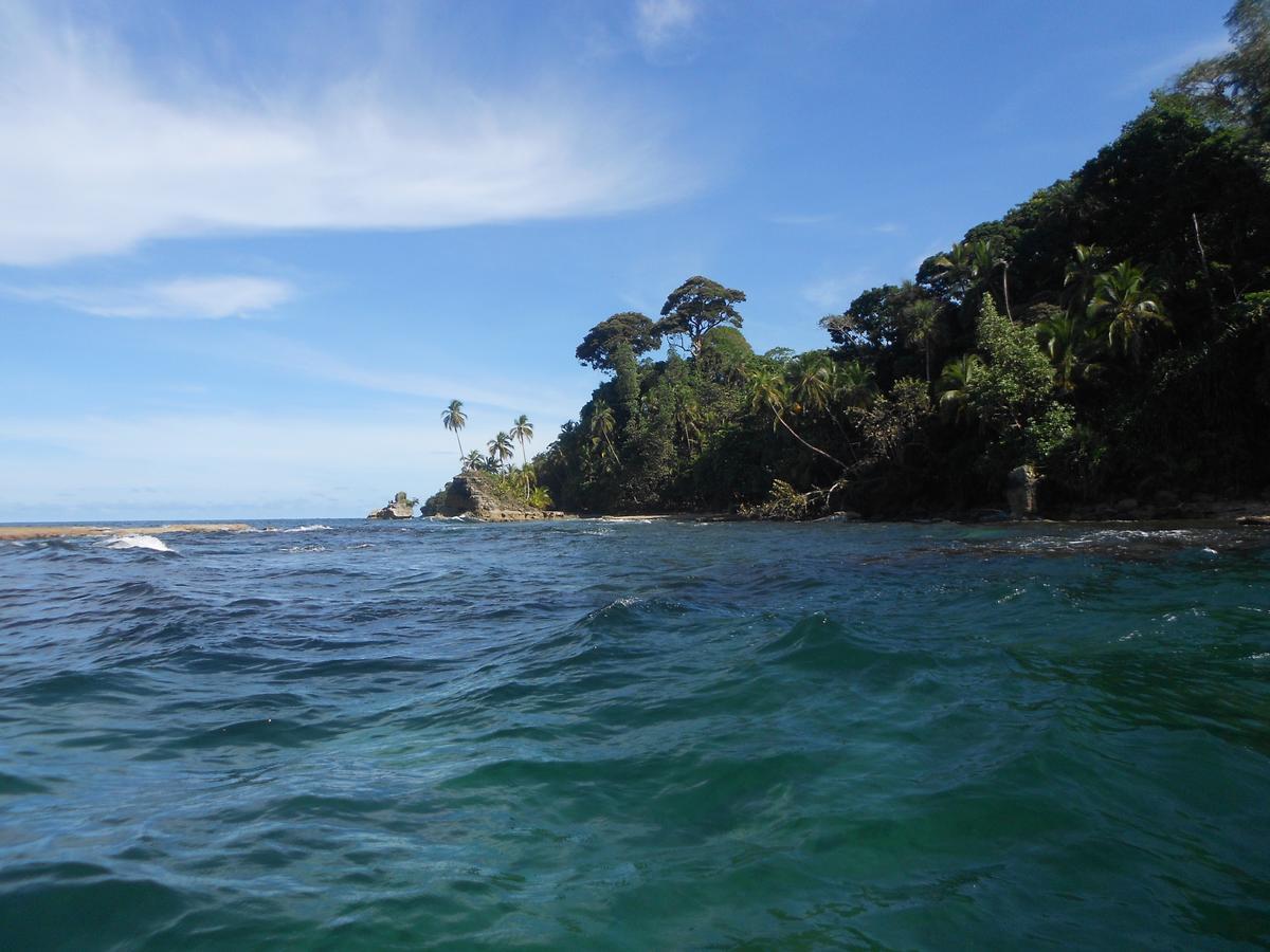 Rosa Lodge Cahuita Εξωτερικό φωτογραφία