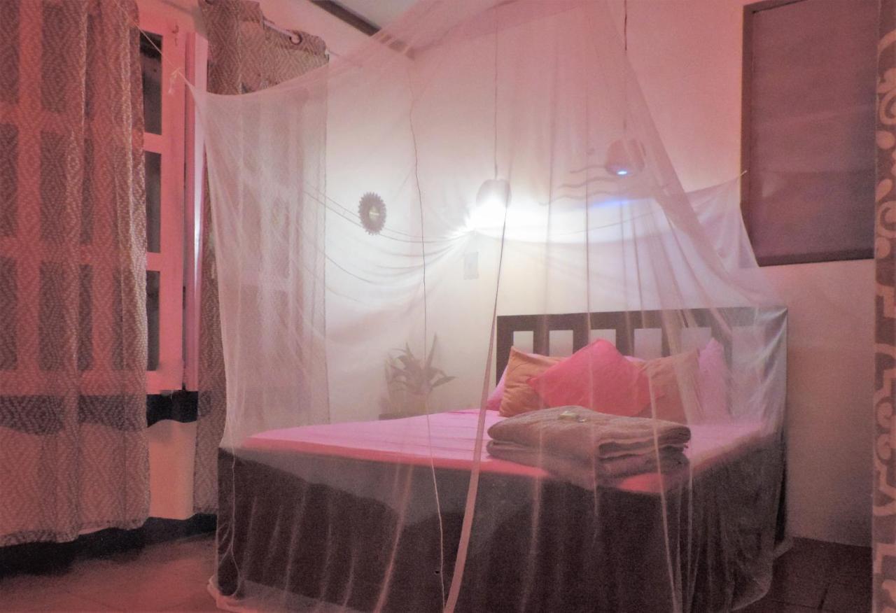 Rosa Lodge Cahuita Εξωτερικό φωτογραφία